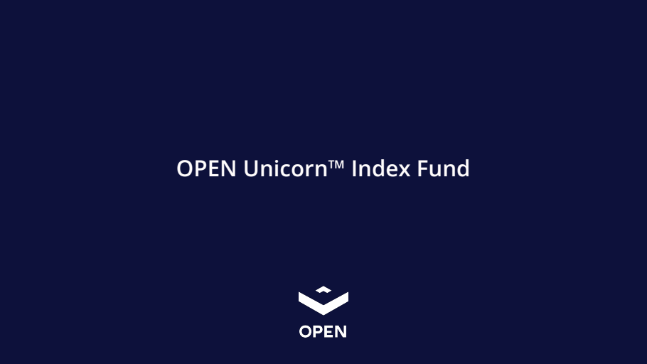 thumbnail image of Unicorn Index Fund Overview 2024.pdf